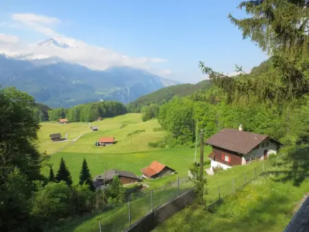 Am Bächli, Maison 4 personnes à Hasliberg - Photo 18