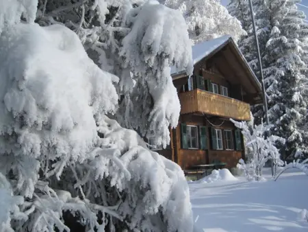 Alpidyll, Maison 6 personnes à Hasliberg - Photo 4
