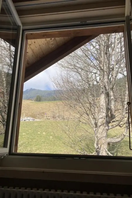 Alpidyll, Maison 6 personnes à Hasliberg - Photo 19