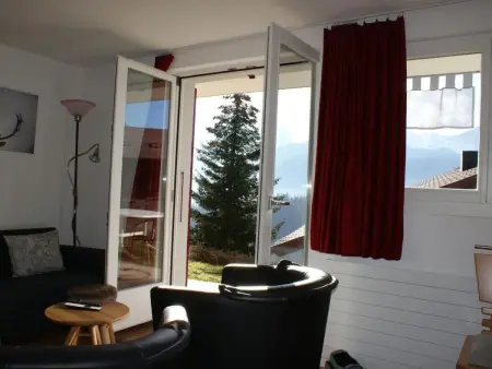 Abigrot, Appartement 4 personnes à Hasliberg - Photo 24