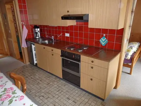 Des Alpes 4-Bettwohnung, Appartement 5 personnes à Hasliberg - Photo 4