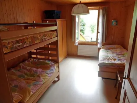 Des Alpes 4-Bettwohnung, Appartement 5 personnes à Hasliberg - Photo 8
