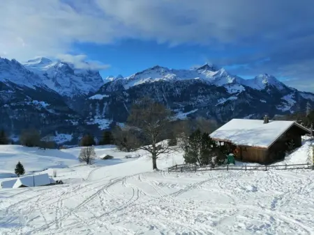 Ferienhaus, Maison 8 personnes à Hasliberg - Photo 13