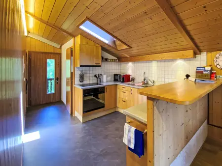 FeWo Zenger-Jossi, Appartement 2 personnes à Hasliberg - Photo 6