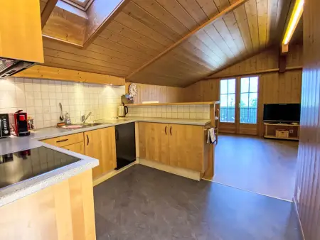 FeWo Zenger-Jossi, Appartement 2 personnes à Hasliberg - Photo 7