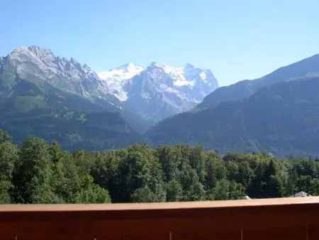 FeWo Zenger-Jossi, Appartement 2 personnes à Hasliberg - Photo 9