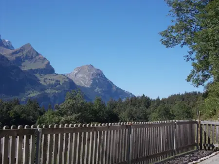 FeWo Zenger-Jossi, Appartement 2 personnes à Hasliberg - Photo 10