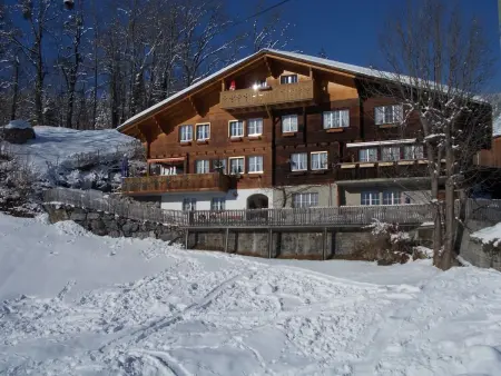 FeWo Zenger-Jossi, Appartement 2 personnes à Hasliberg - Photo 19