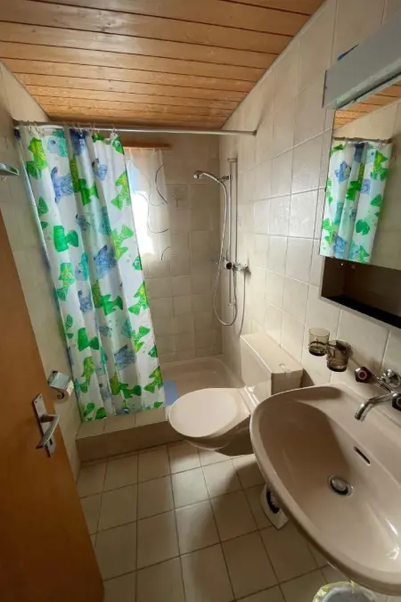 Chalet Hofer, Appartement 3 personnes à Hasliberg - Photo 4
