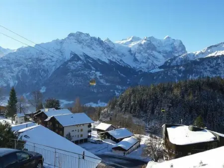 Chalet Hofer, Appartement 3 personnes à Hasliberg - Photo 9