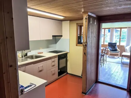 Engi, Appartement 7 personnes à Hasliberg - Photo 9