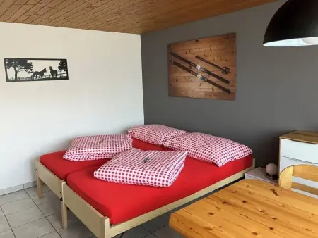 Anneliese Schaad Studio, Appartement 2 personnes à Hasliberg - Photo 1