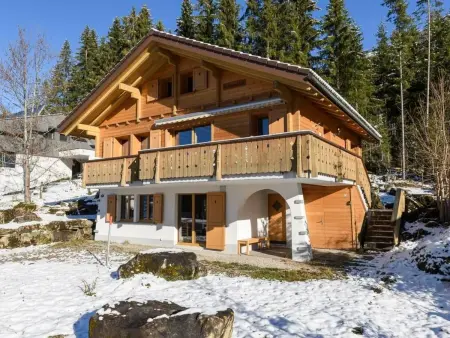 Rothornblick, Appartement 4 personnes à Sörenberg - Photo 16