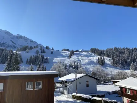 Chalet-Gemseli, Appartement 9 personnes à Sörenberg - Photo 11