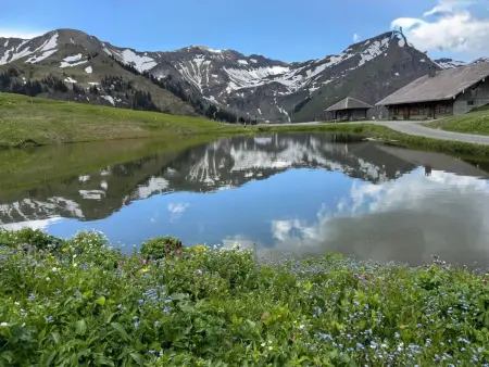Moderne Ferienwohnung ROTHORN mit 2 Schlafzimmer - Photo 14