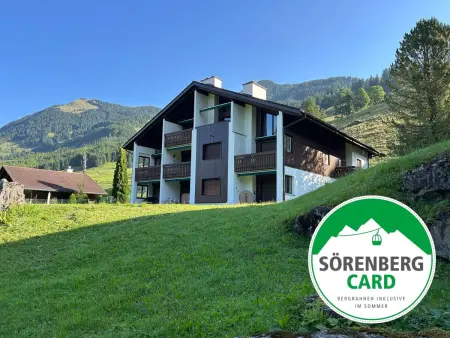 Rothornsicht, Appartement 4 personnes à Sörenberg - Photo 2