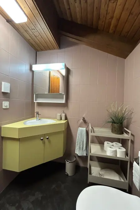 Rothornsicht, Appartement 4 personnes à Sörenberg - Photo 11