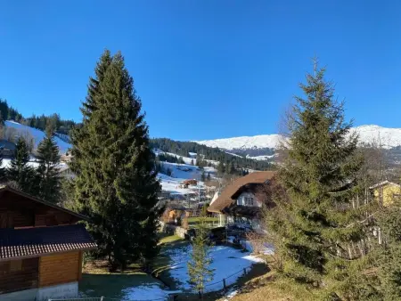 Chalet Bacchus (OG), Appartement 4 personnes à Sörenberg - Photo 5