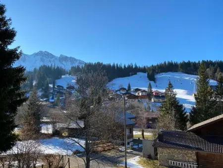 Chalet Bacchus (OG), Appartement 4 personnes à Sörenberg - Photo 7