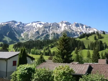 Haus Reanchme, Appartement 5 personnes à Sörenberg - Photo 18