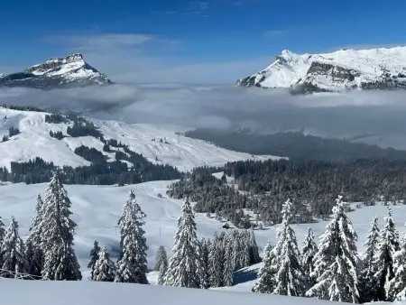 Berg-Ferienwohnung  im Chalet  Zirbeli, Appartement 5 personnes à Sörenberg - Photo 27