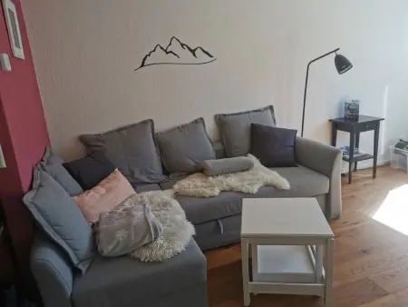 Sörenberg Alpine Lodge, Appartement 5 personnes à Sörenberg - Photo 3