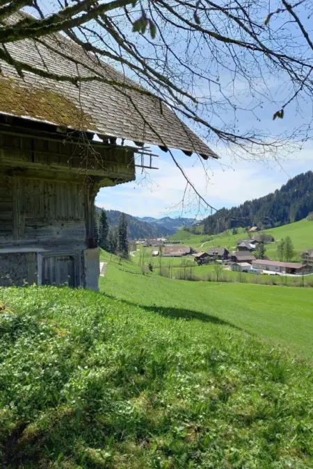 Antikes Ferienhaus, Maison 12 personnes à Trub - Photo 2