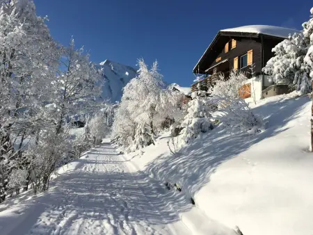 Chalet Hörler direkt im Ski- und Wandergebiet, Appartement 5 personnes à Emmetten - Photo 28
