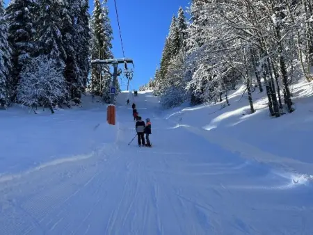 Chalet Hörler direkt im Ski- und Wandergebiet, Appartement 5 personnes à Emmetten - Photo 30