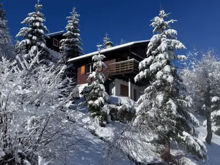Chalet Hörler direkt im Ski- und Wandergebiet, Appartement 5 personnes à Emmetten - Photo 34