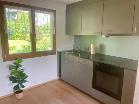 Chalet Bärgblick, Appartement 2 personnes à Vitznau - Photo 12