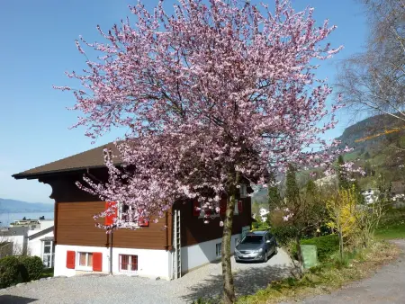 Chalet Bärgblick, Appartement 2 personnes à Vitznau - Photo 20