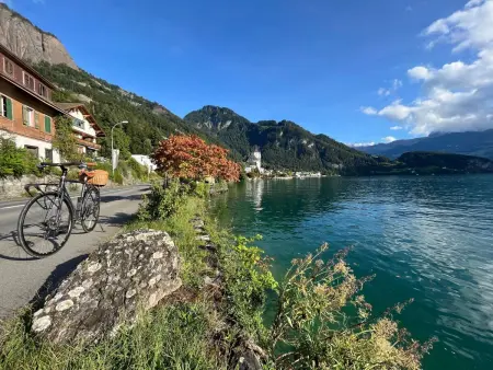 Chalet Bärgblick, Appartement 2 personnes à Vitznau - Photo 38