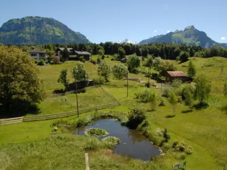Dein Erlebnis, Appartement 10 personnes à Seelisberg - Photo 17