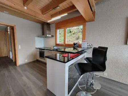 Villa Seelisberg mit Jacuzzi und Panoramablick, Maison 4 personnes à Seelisberg - Photo 14