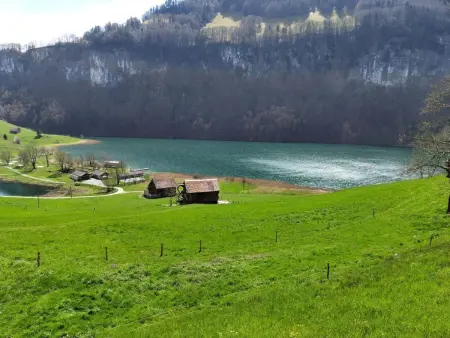 Villa Seelisberg mit Jacuzzi und Panoramablick, Maison 4 personnes à Seelisberg - Photo 40