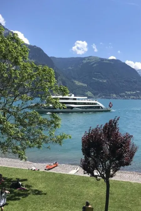 Villa Seelisberg mit Jacuzzi und Panoramablick, Maison 4 personnes à Seelisberg - Photo 41