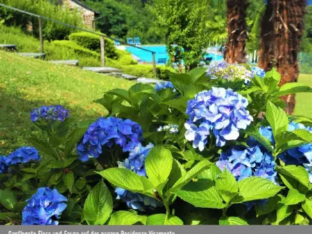 Residenza Viramonte - Casa Daniela, Wohnung 38, Appartement 2 personnes à Vira - Photo 21