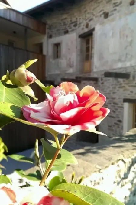 Corte delle Camelie - Wohnung im ersten Stock, Appartement 2 personnes à Vira - Photo 7