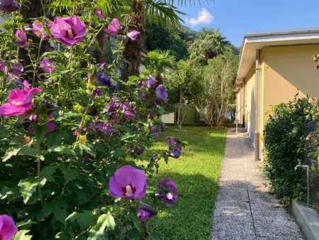 RESIDENZA 7 NANI, Maison 5 personnes à San Nazzaro - Photo 10