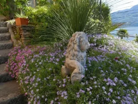 Casa Fiore, Appartement 4 personnes à Brissago - Photo 26