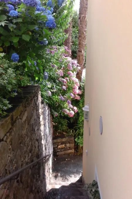 Wohnung 'Bellavista' mit Bergblick, Appartement 4 personnes à Brissago - Photo 12