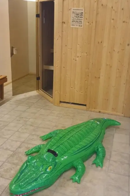 Fewo mit eigener Sauna, Appartement 4 personnes à Brissago - Photo 14