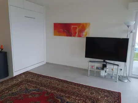 Appartement mit Balkon, Appartement 4 personnes à Brissago - Photo 11