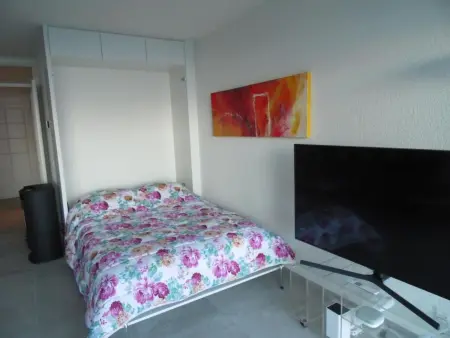 Appartement mit Balkon, Appartement 4 personnes à Brissago - Photo 12