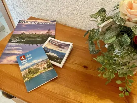 Lago Moments, Appartement 3 personnes à Brissago - Photo 15