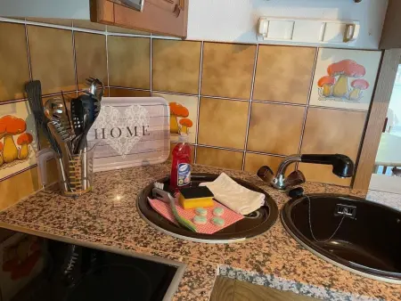 Lago Moments, Appartement 3 personnes à Brissago - Photo 21