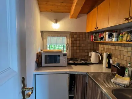 SASSO MARCO, Appartement 2 personnes à Ronco sopra Ascona - Photo 12