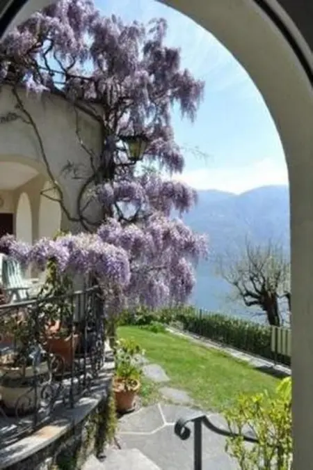 Studio Cresta Bianca, Appartement 2 personnes à Ronco sopra Ascona - Photo 8