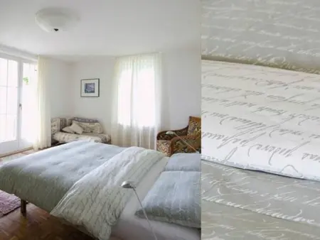 Villa Cresta Bianca, Maison 4 personnes à Ronco sopra Ascona - Photo 3